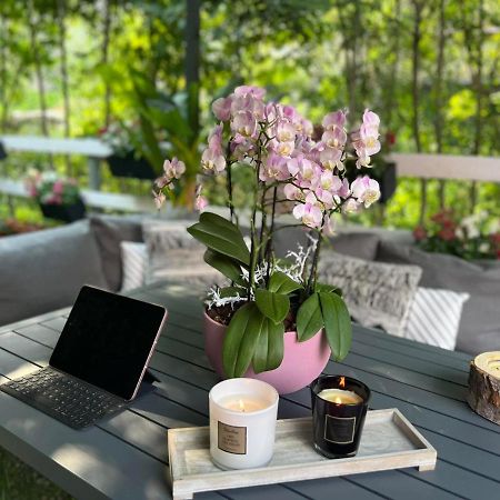 Cozy & Good Vibes Villa Castana. Romagnese 外观 照片